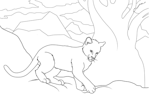 Cougar Cub Coloring Page